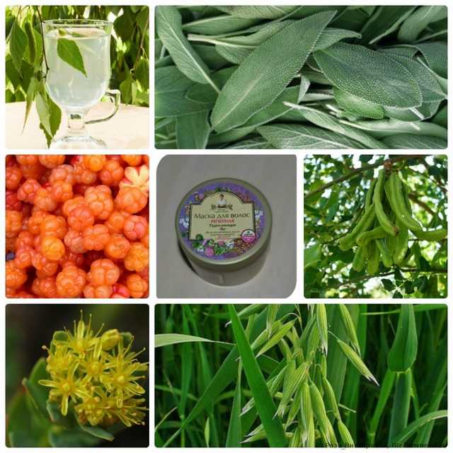 маска для волос рецепты бабушки агафьи маска для волос репейная. Смотреть фото маска для волос рецепты бабушки агафьи маска для волос репейная. Смотреть картинку маска для волос рецепты бабушки агафьи маска для волос репейная. Картинка про маска для волос рецепты бабушки агафьи маска для волос репейная. Фото маска для волос рецепты бабушки агафьи маска для волос репейная маска для волос рецепты бабушки агафьи маска для волос репейная. Смотреть фото маска для волос рецепты бабушки агафьи маска для волос репейная. Смотреть картинку маска для волос рецепты бабушки агафьи маска для волос репейная. Картинка про маска для волос рецепты бабушки агафьи маска для волос репейная. Фото маска для волос рецепты бабушки агафьи маска для волос репейная