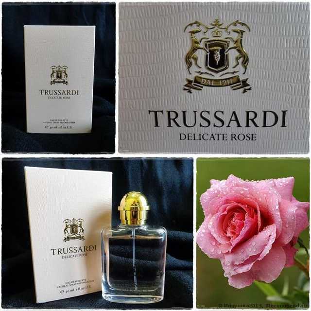 труссарди деликат роуз рени номер. Смотреть фото труссарди деликат роуз рени номер. Смотреть картинку труссарди деликат роуз рени номер. Картинка про труссарди деликат роуз рени номер. Фото труссарди деликат роуз рени номер труссарди деликат роуз рени номер. Смотреть фото труссарди деликат роуз рени номер. Смотреть картинку труссарди деликат роуз рени номер. Картинка про труссарди деликат роуз рени номер. Фото труссарди деликат роуз рени номер