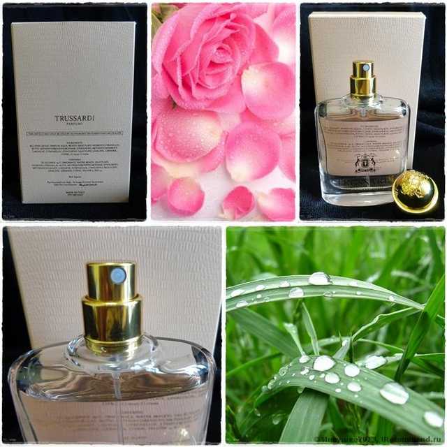 труссарди деликат роуз рени номер. Смотреть фото труссарди деликат роуз рени номер. Смотреть картинку труссарди деликат роуз рени номер. Картинка про труссарди деликат роуз рени номер. Фото труссарди деликат роуз рени номер труссарди деликат роуз рени номер. Смотреть фото труссарди деликат роуз рени номер. Смотреть картинку труссарди деликат роуз рени номер. Картинка про труссарди деликат роуз рени номер. Фото труссарди деликат роуз рени номер