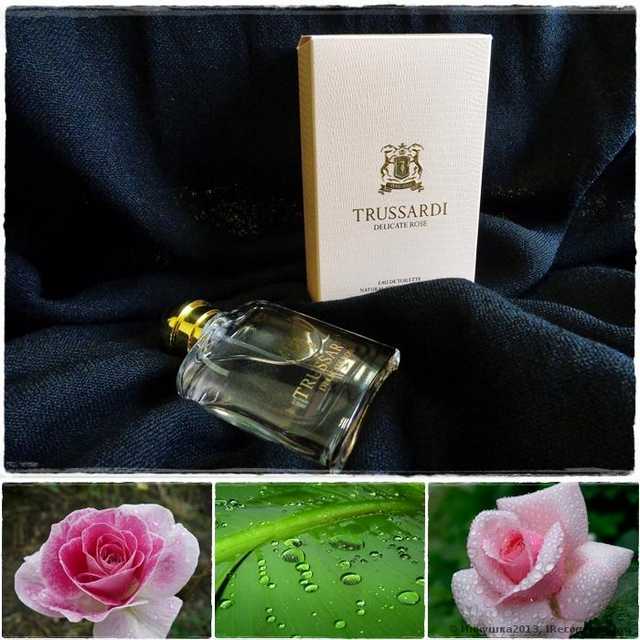 труссарди деликат роуз рени номер. Смотреть фото труссарди деликат роуз рени номер. Смотреть картинку труссарди деликат роуз рени номер. Картинка про труссарди деликат роуз рени номер. Фото труссарди деликат роуз рени номер труссарди деликат роуз рени номер. Смотреть фото труссарди деликат роуз рени номер. Смотреть картинку труссарди деликат роуз рени номер. Картинка про труссарди деликат роуз рени номер. Фото труссарди деликат роуз рени номер