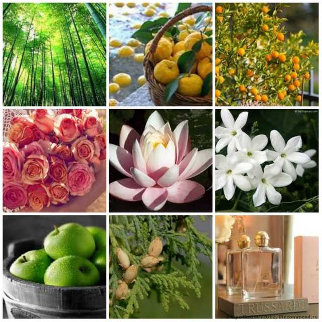 труссарди деликат роуз рени номер. Смотреть фото труссарди деликат роуз рени номер. Смотреть картинку труссарди деликат роуз рени номер. Картинка про труссарди деликат роуз рени номер. Фото труссарди деликат роуз рени номер труссарди деликат роуз рени номер. Смотреть фото труссарди деликат роуз рени номер. Смотреть картинку труссарди деликат роуз рени номер. Картинка про труссарди деликат роуз рени номер. Фото труссарди деликат роуз рени номер