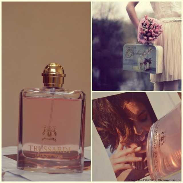 труссарди деликат роуз рени номер. Смотреть фото труссарди деликат роуз рени номер. Смотреть картинку труссарди деликат роуз рени номер. Картинка про труссарди деликат роуз рени номер. Фото труссарди деликат роуз рени номер труссарди деликат роуз рени номер. Смотреть фото труссарди деликат роуз рени номер. Смотреть картинку труссарди деликат роуз рени номер. Картинка про труссарди деликат роуз рени номер. Фото труссарди деликат роуз рени номер