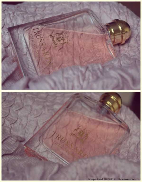 труссарди деликат роуз рени номер. Смотреть фото труссарди деликат роуз рени номер. Смотреть картинку труссарди деликат роуз рени номер. Картинка про труссарди деликат роуз рени номер. Фото труссарди деликат роуз рени номер труссарди деликат роуз рени номер. Смотреть фото труссарди деликат роуз рени номер. Смотреть картинку труссарди деликат роуз рени номер. Картинка про труссарди деликат роуз рени номер. Фото труссарди деликат роуз рени номер