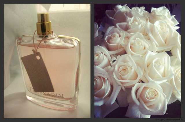 труссарди деликат роуз рени номер. Смотреть фото труссарди деликат роуз рени номер. Смотреть картинку труссарди деликат роуз рени номер. Картинка про труссарди деликат роуз рени номер. Фото труссарди деликат роуз рени номер труссарди деликат роуз рени номер. Смотреть фото труссарди деликат роуз рени номер. Смотреть картинку труссарди деликат роуз рени номер. Картинка про труссарди деликат роуз рени номер. Фото труссарди деликат роуз рени номер