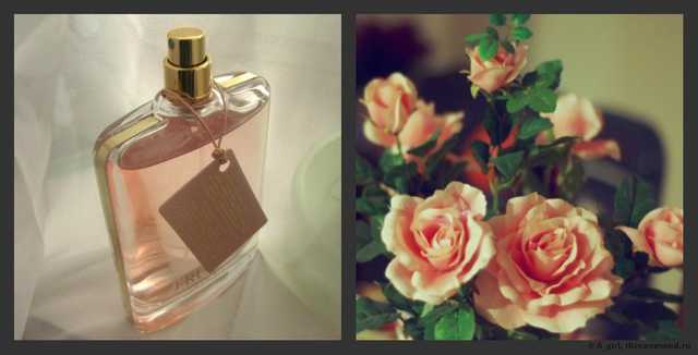 труссарди деликат роуз рени номер. Смотреть фото труссарди деликат роуз рени номер. Смотреть картинку труссарди деликат роуз рени номер. Картинка про труссарди деликат роуз рени номер. Фото труссарди деликат роуз рени номер труссарди деликат роуз рени номер. Смотреть фото труссарди деликат роуз рени номер. Смотреть картинку труссарди деликат роуз рени номер. Картинка про труссарди деликат роуз рени номер. Фото труссарди деликат роуз рени номер