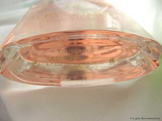 труссарди деликат роуз рени номер. Смотреть фото труссарди деликат роуз рени номер. Смотреть картинку труссарди деликат роуз рени номер. Картинка про труссарди деликат роуз рени номер. Фото труссарди деликат роуз рени номер труссарди деликат роуз рени номер. Смотреть фото труссарди деликат роуз рени номер. Смотреть картинку труссарди деликат роуз рени номер. Картинка про труссарди деликат роуз рени номер. Фото труссарди деликат роуз рени номер