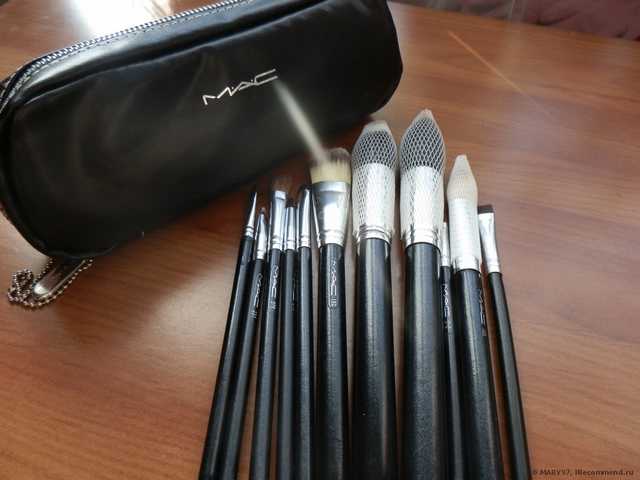 Кисти для макияжа Aliexpress   New 12 Pcs Professional Makeup Brushes Cosmetic Make Up Set W/ 2 Case Bag Kit - фото