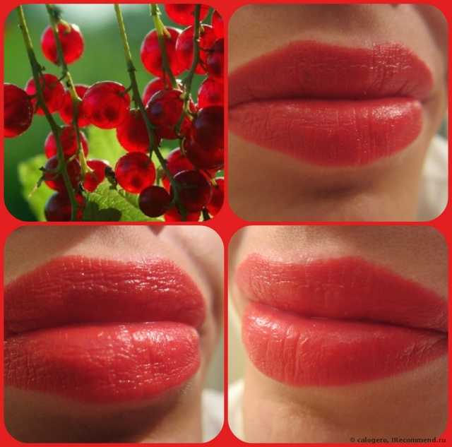 Губная помада L'Oreal Color Riche Collection EXCLUSIVE PURE REDS - фото