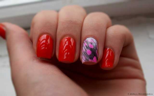 Перья для дизайна ногтей BornPrettyStore 5pcs Fancy Feather Nail Art Decoration-12 colors - фото