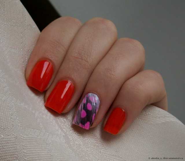 Перья для дизайна ногтей BornPrettyStore 5pcs Fancy Feather Nail Art Decoration-12 colors - фото
