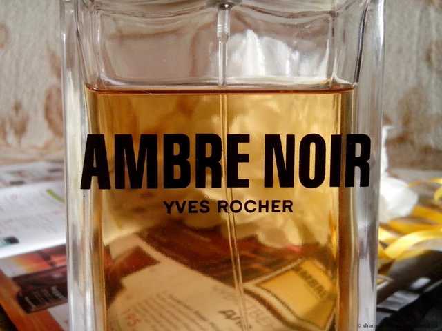 Ив Роше Ambre Noir - фото