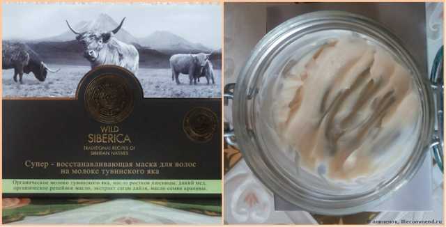 Маска для волос Natura Siberica Супер-восстанавливающая на молоке тувинского яка Wild Siberica - фото