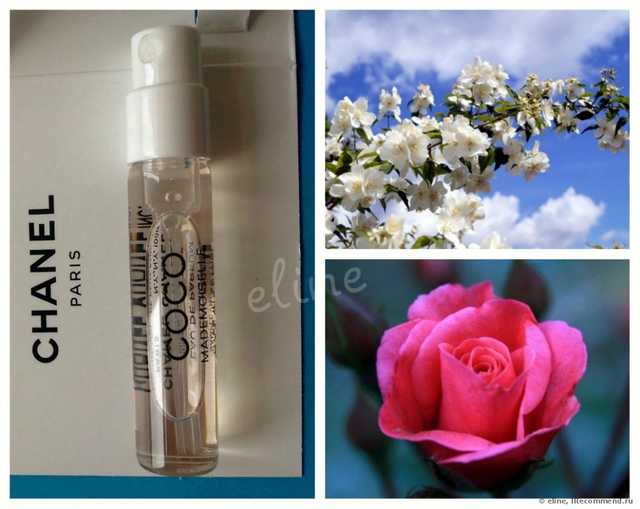 Chanel Coco Mademoiselle - фото