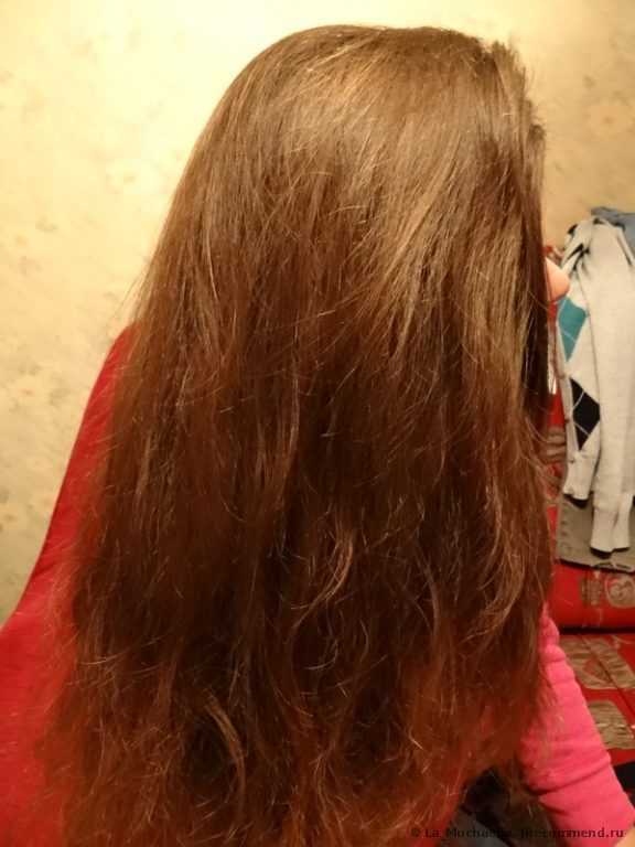 Шампунь Natura Siberica для нормальных и жирных волос глубокое очищение и уход Oblepikha Siberica Professional - фото