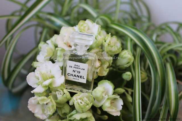 Chanel №19 - фото