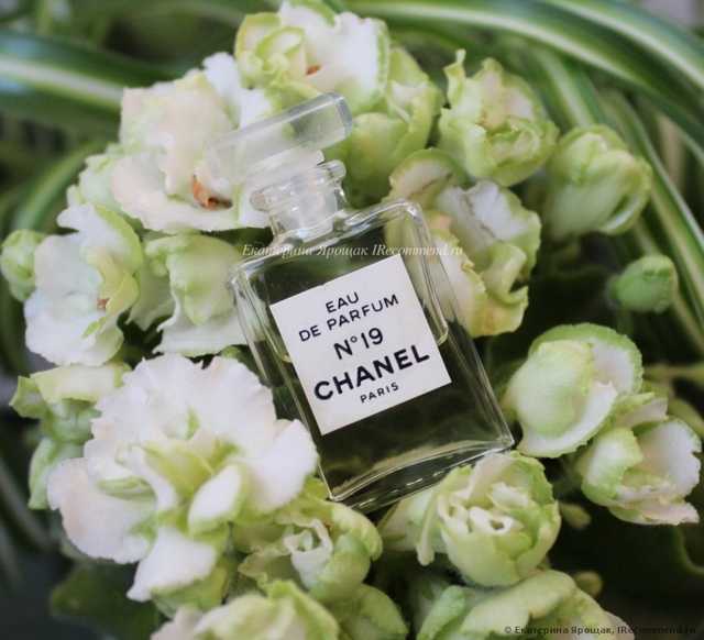 Chanel №19 - фото