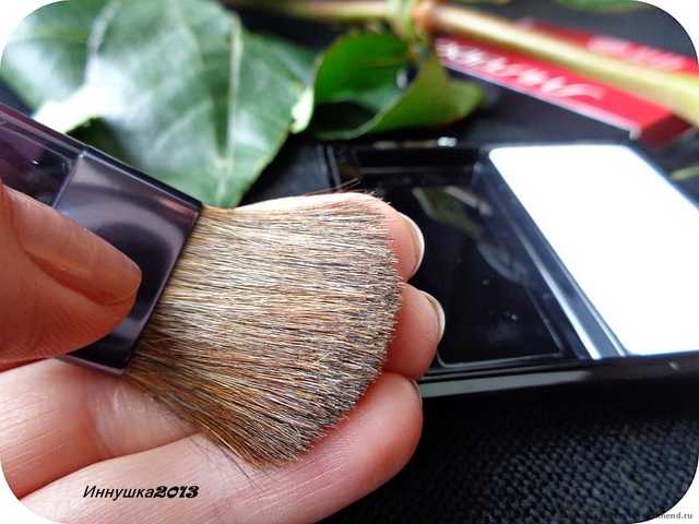 Румяна Shiseido Luminizing Satin Face Color (с шелковистой текстурой и эффектом сияния) - фото