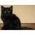  аватарка пользователя