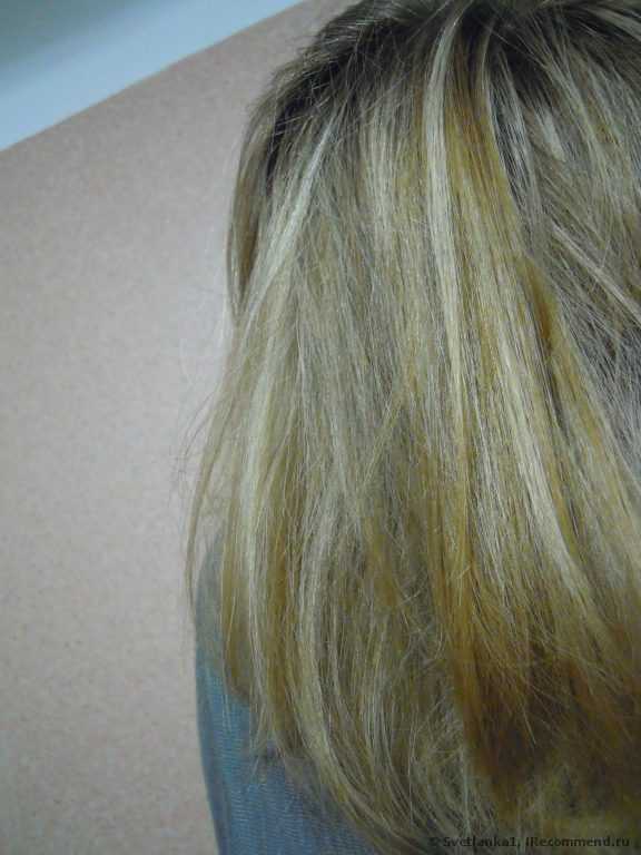 Тонирующая маска «ACME-COLOR» «Рябина Ton Oil Mask» - фото