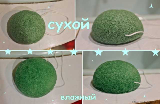 Спонж для лица Aliexpress   Natural Konjac Konnyaku Facial Puff Face Wash Cleansing Sponge Green - фото