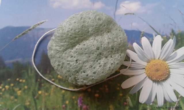 Спонж для лица Aliexpress   Natural Konjac Konnyaku Facial Puff Face Wash Cleansing Sponge Green - фото