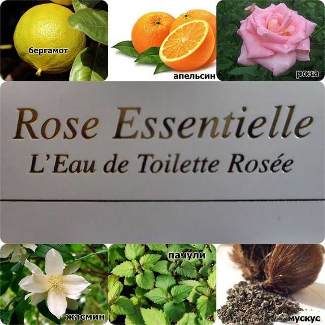 Bvlgari  Rose Essentielle Eau De Toilette Rosee Bvlgari - фото