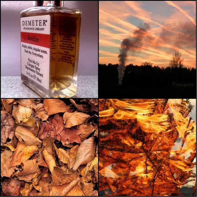 Demeter Bonfire (Костёр) - фото