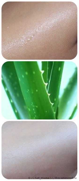 Увлажняющий гель для лица Holika Holika  Organic Aloe Soothing Gel - фото