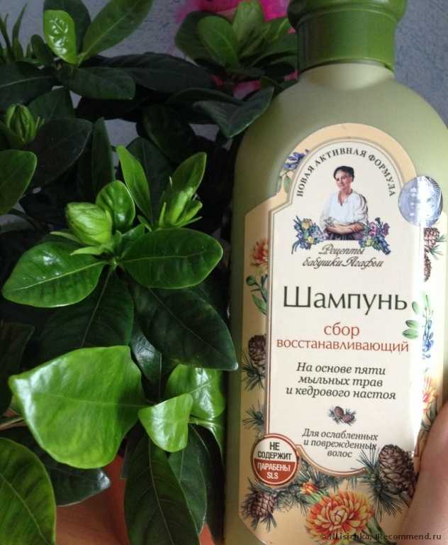 Шампунь Рецепты бабушки Агафьи СБОР восстанавливающий на основе пяти мыльных трав и кедрового настоя - фото
