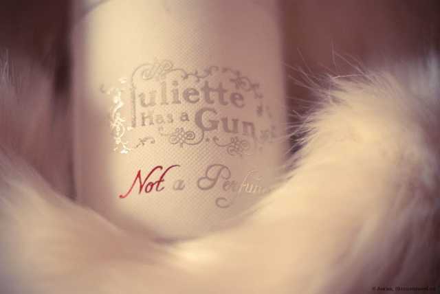 Juliette Has A Gun Not a Perfume - фото