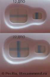 Плюс на тесте на беременность 137