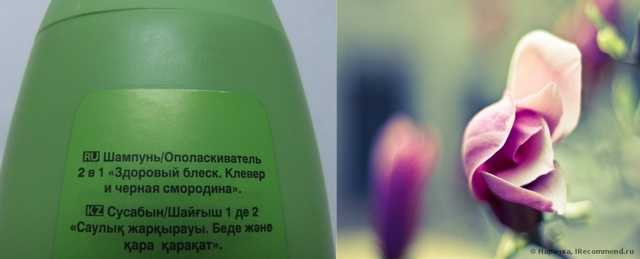Восстанавливающий шампунь-ополаскиватель 2 в 1 Avon Красный клевер и чёрная смородина - фото