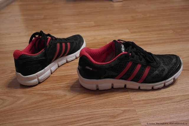 Кроссовки Adidas Climacool Fresh - фото