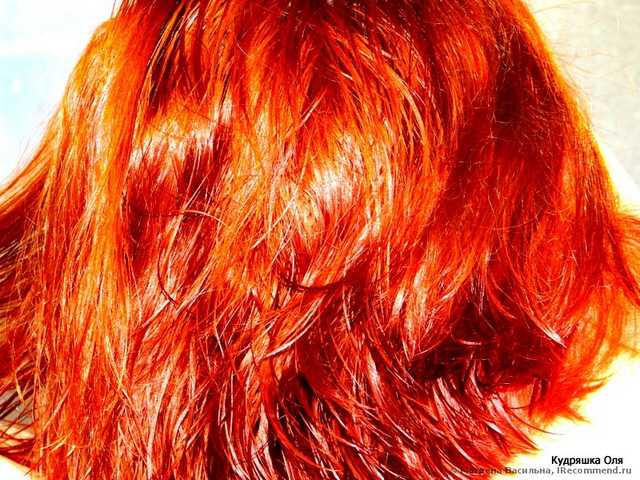 Волосы окрашенные пару месяцев назад рыжей Lady Henna