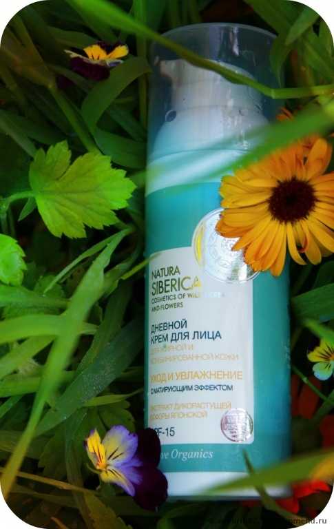 Дневной крем для лица Natura Siberica "Уход и увлажнение" с матирующим эффектом. Для жирной и комбинированной кожи - фото