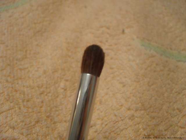 Кисти для макияжа Aliexpress   12 Pcs Concealer Brushes Dense Powder Blush Brush Cosmetic Makeup Brushes Set - фото