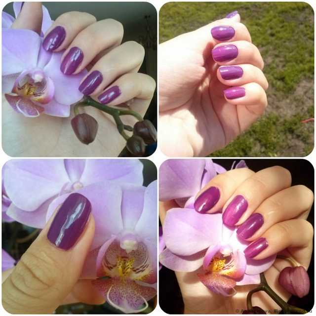 Лак для ногтей Demini COLOR for my NAILS - фото