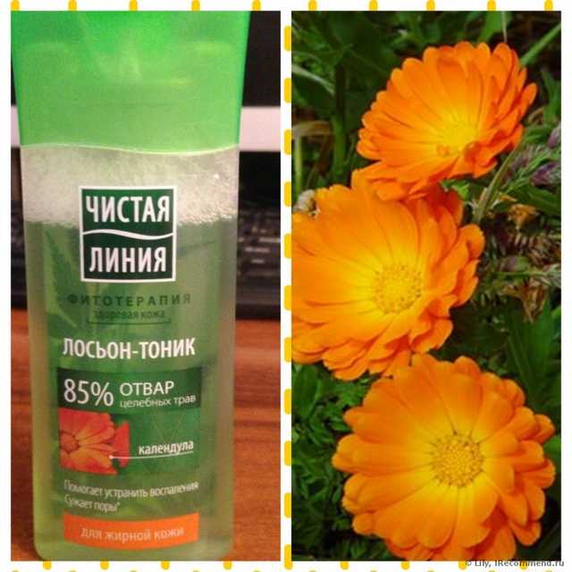 Лосьон-тоник Чистая линия для  жирной  кожи - фото