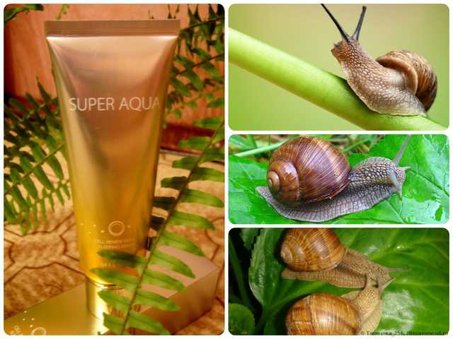 Ночная маска для лица Missha Регенерирующая "Super Aqua Cell Renew Snail Sleeping Mask" - фото