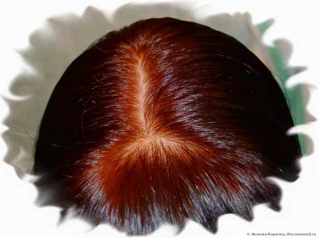 Хна для волос Ledy Henna - фото