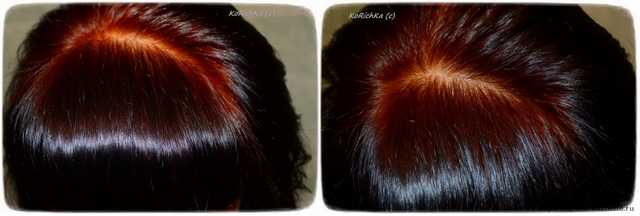Хна для волос Ledy Henna - фото