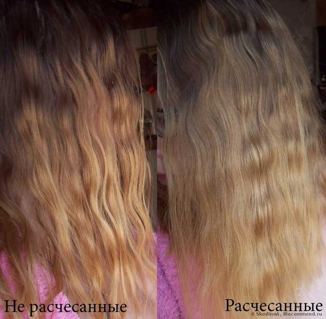 На следующее утро)