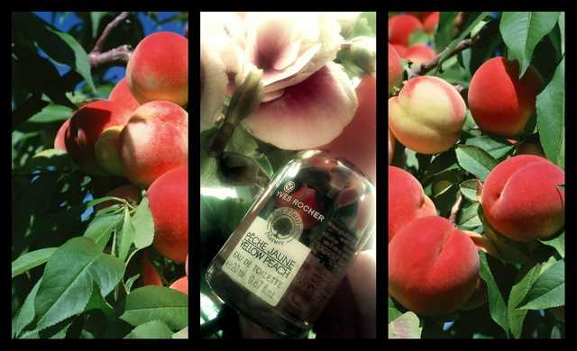 Ив Роше Yves Rocher LES PLAISIRS NATURE Yellow Peach туалетная вода - фото