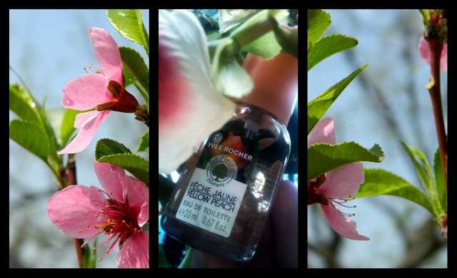 Ив Роше Yves Rocher LES PLAISIRS NATURE Yellow Peach туалетная вода - фото