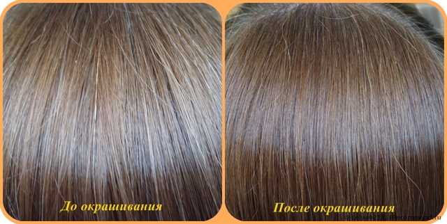 Результат окрашивания волос, подвергшихся действию стойких красок