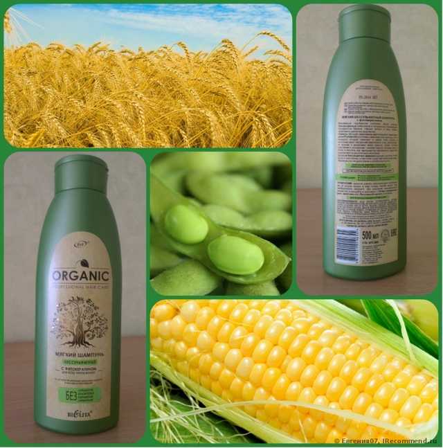 Шампунь Белита-Витэкс Professional Organic Hair Care - фото
