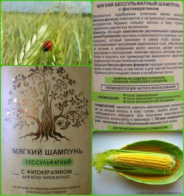 Шампунь Белита-Витэкс Professional Organic Hair Care - фото