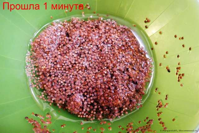 Восстанавливающая маска для лица AliExpress Pure mask natural plants seaweed mask seaweed small particles - фото