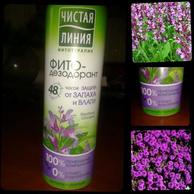 Фито-дезодорант Чистая линия (спрей) защита от запаха и влаги "Вербена и шалфей" - фото
