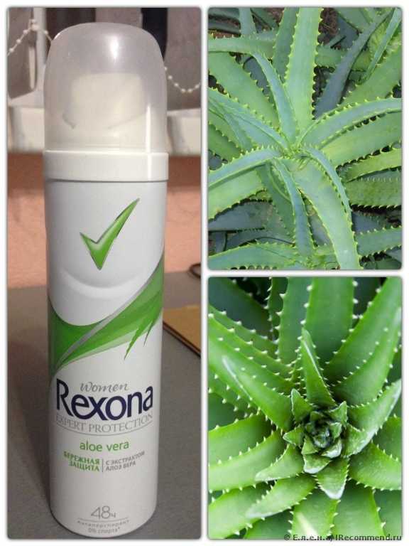 Дезодорант-антиперспирант Rexona expert protection aloe vera бережная защита 48часов - фото
